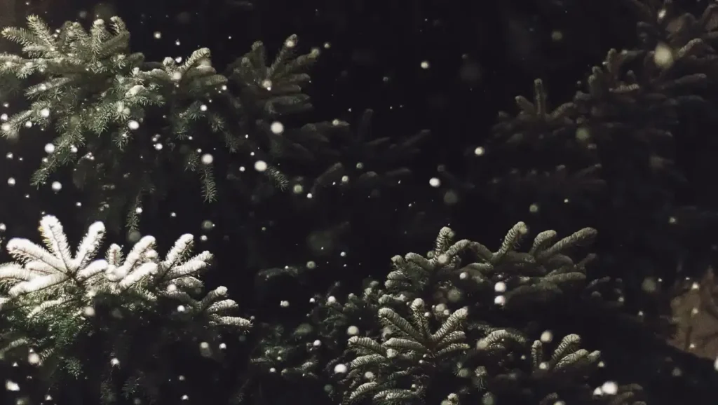 Snowflakes fall gently on evergreen branches at night. This symbolizes finding moments of quiet beauty and peace, even in the darkness or during challenging seasons.
