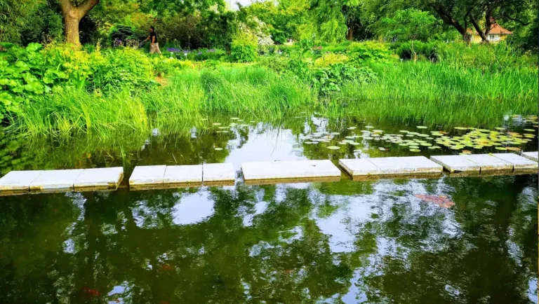 Stepping stones cross a peaceful pond in a lush, green garden.