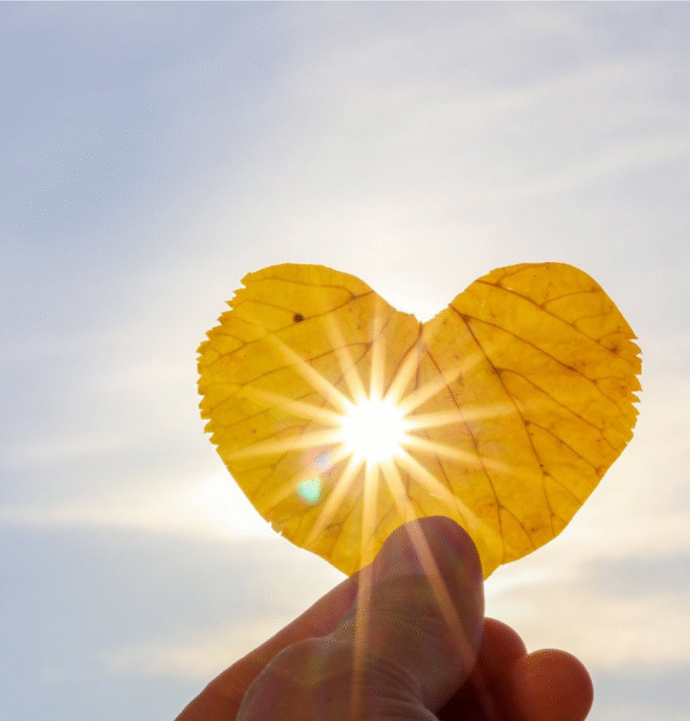 Picture of sunlight through a Colorado aspen leaf representing healing from OCD and trauma provided by Ignite Counseling Colorado