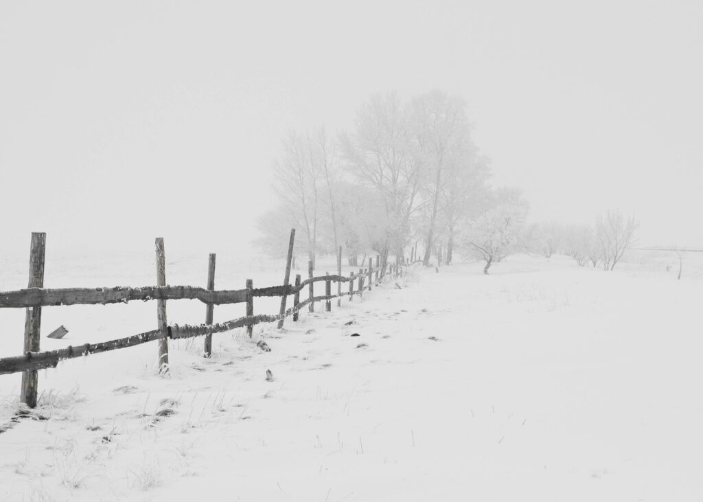 Snowstorm in Colorado representing depression or anxiety