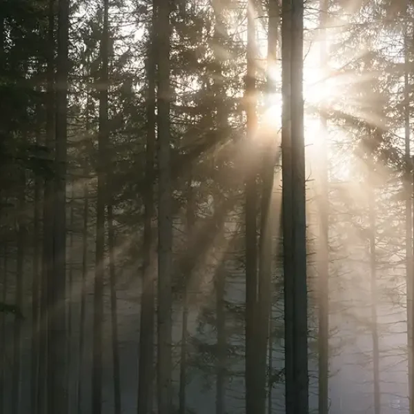 What Clinical Hypnosis Can Help With